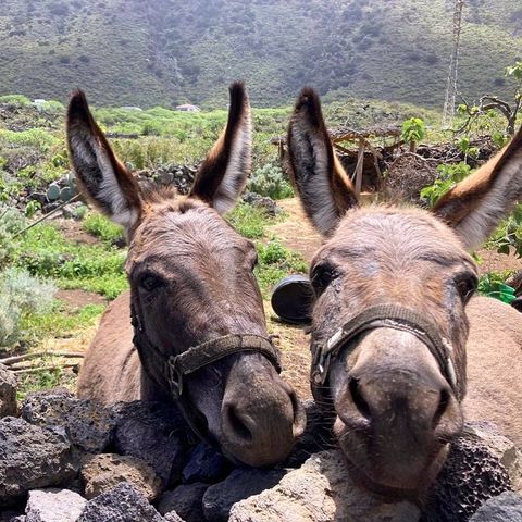 instagram elsitio elhierro03.jpg